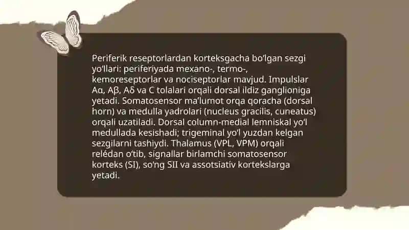 Diqqat va Sezgi Haqida Tushuncha uning Nerv Fiziologik Asoslari 4