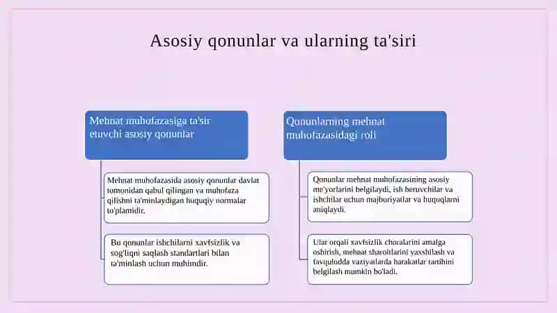 Mehnat muhofazasining huquqiy va tashkiliy nazorat organlari 4
