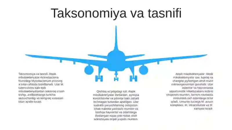 Atipik Mikrobakteriyalar Va Ularning Amalyotdagi Ahamiyati 4