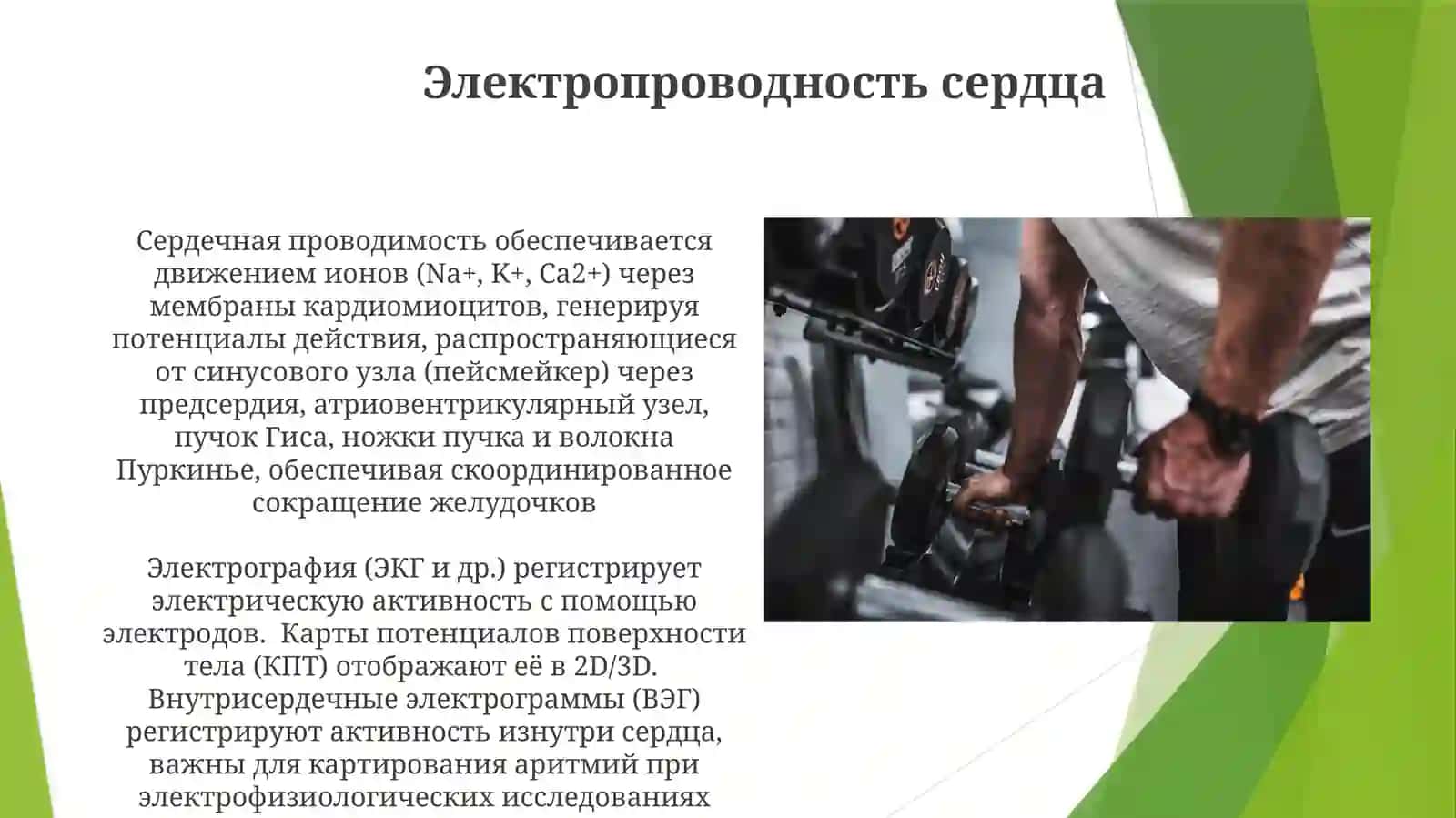 Физические основы методы эхографии и электрографии 4