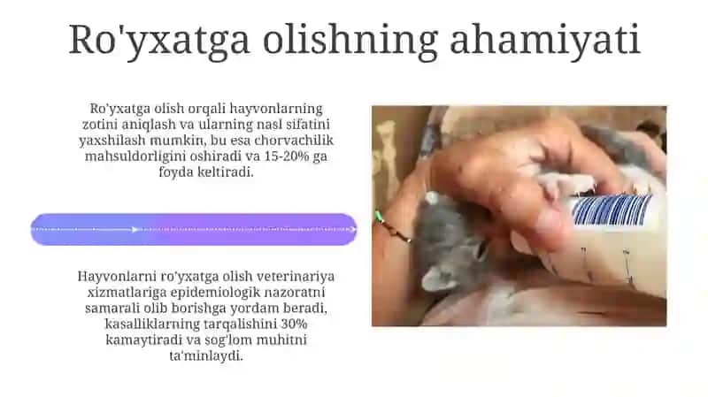 Hayvonlarni ro‘yxatga olish va anamnez ma’lumotlarini to‘plash 4