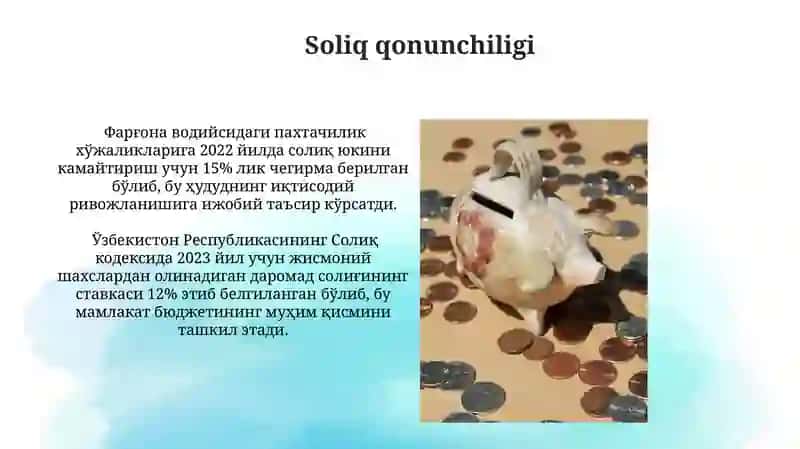 Soliq nazorati va audit 4