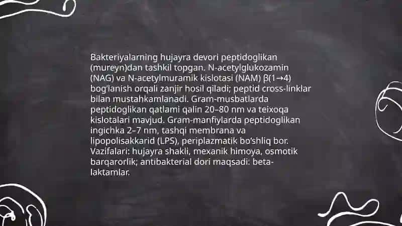 Mikrorganizimlarning morfologiyasi tashqi tuzilishi 4