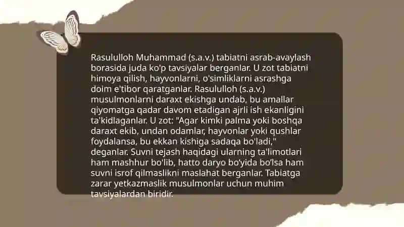 Hadislarda tabiatga oid bandlarni o'rganish va tahlil qilish 4