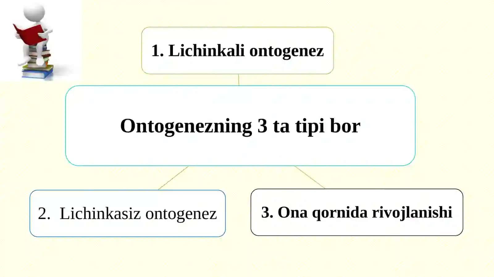 Organizmlarning individual rivojlanishi. Ontogenez. Embrional rivojlanish 4