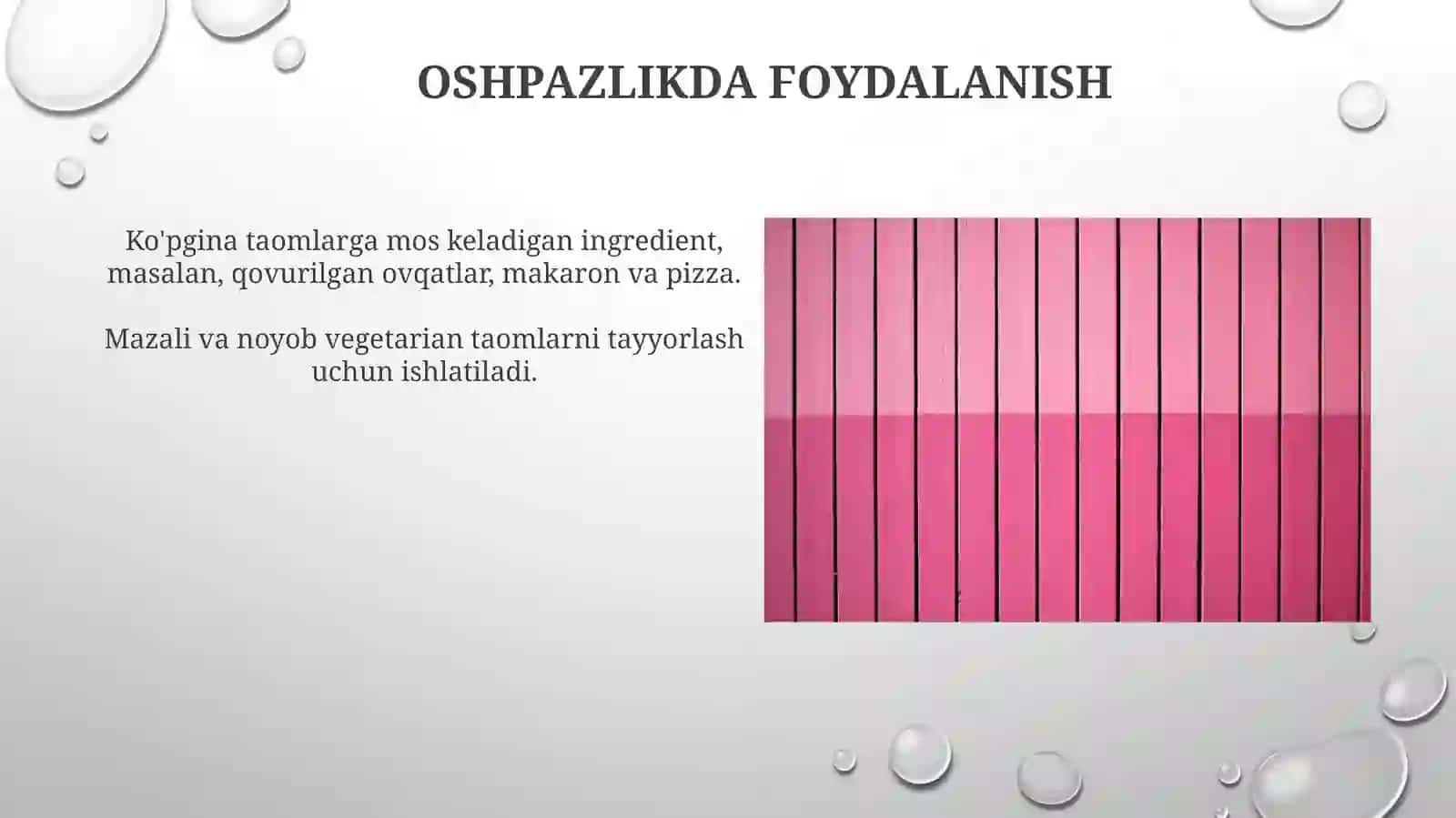 Zamburug'lar Qirolligi 4