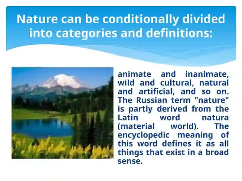Nature 4