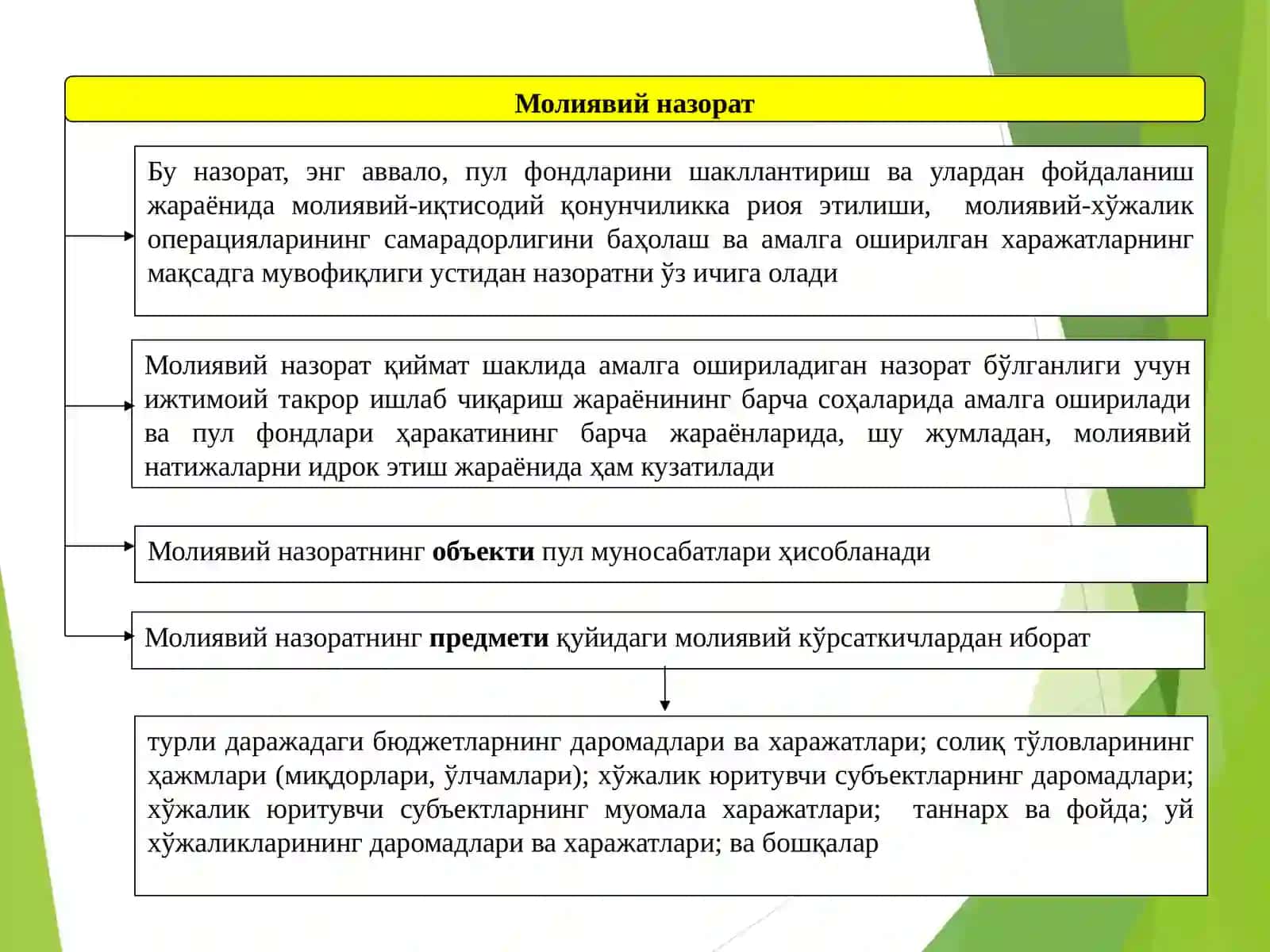 Молиявий назоратни амалга ошириш асослари 4