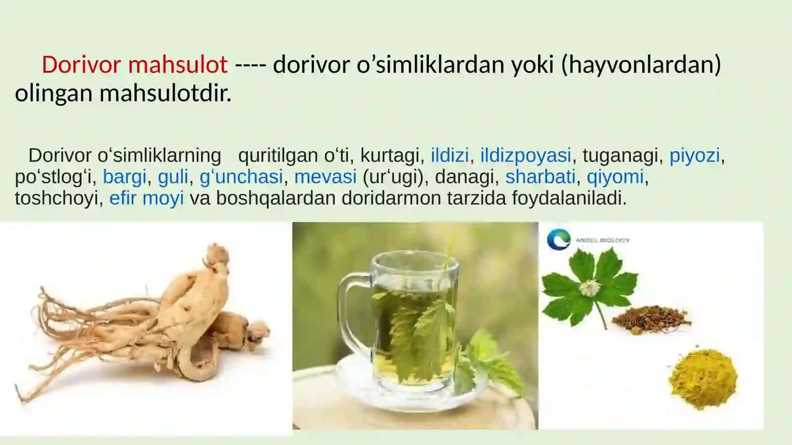 Dorivor O'simlik Mahsulotlarini Standart Holatga Keltirish Talablari va Metrologik Ta'minot Asoslari 4