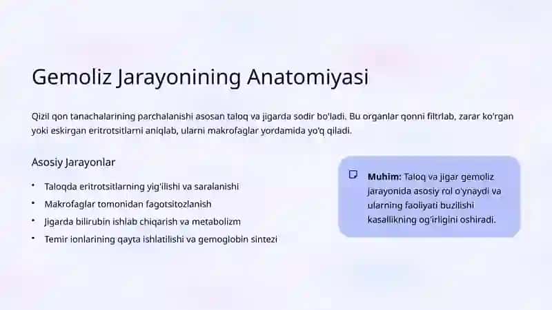 Gemolitik Anemiyalar: Mexanizmlari va Tashxis 4