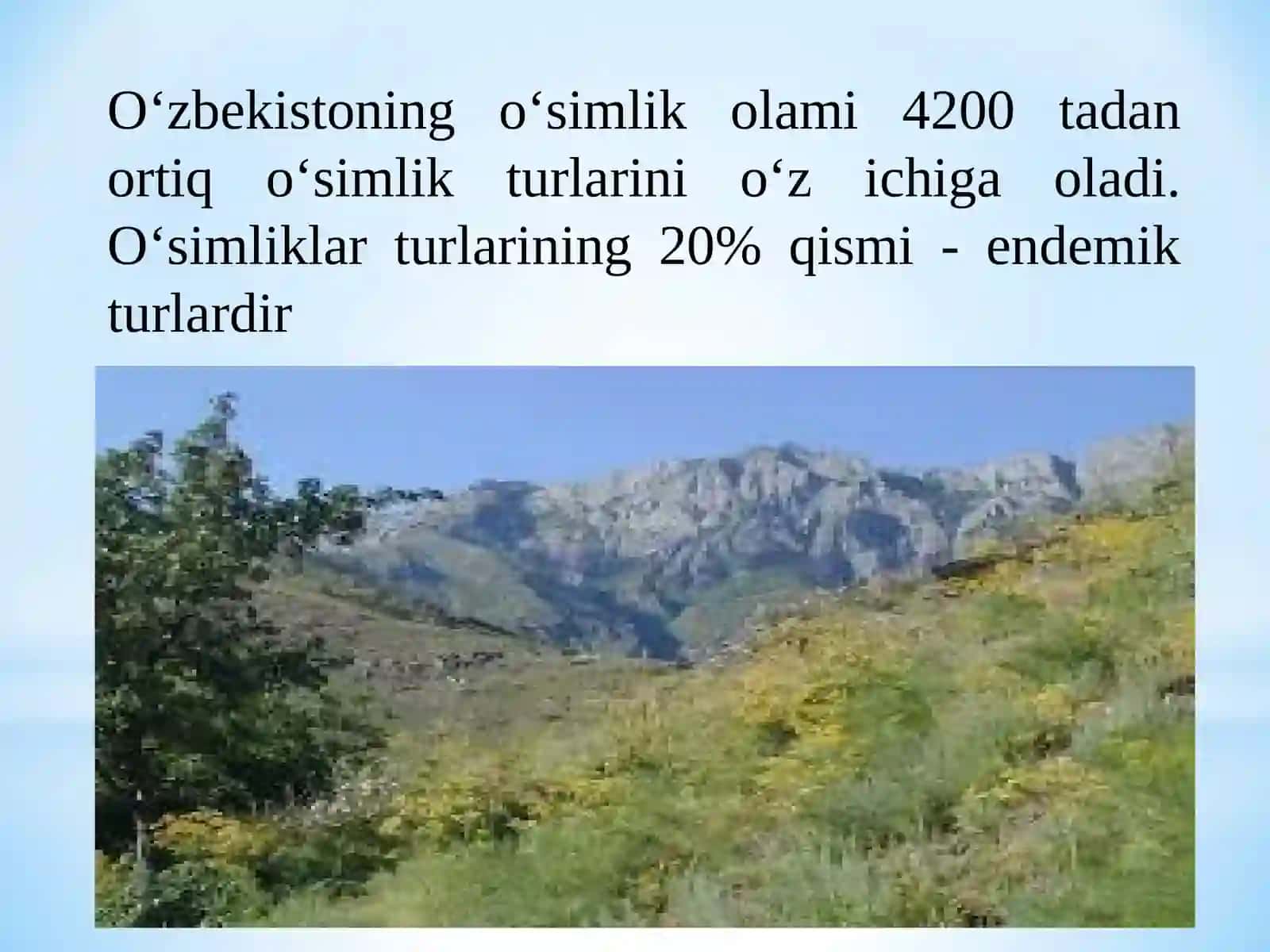 Floristik, sistematik va geobotanik tadqiqot usullari 4