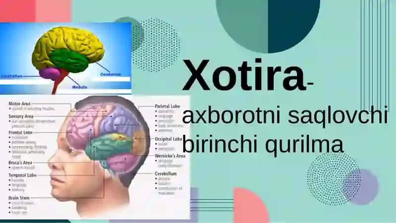 Zamonaviy axborot-kommunikatsiya texnologiyalari 4