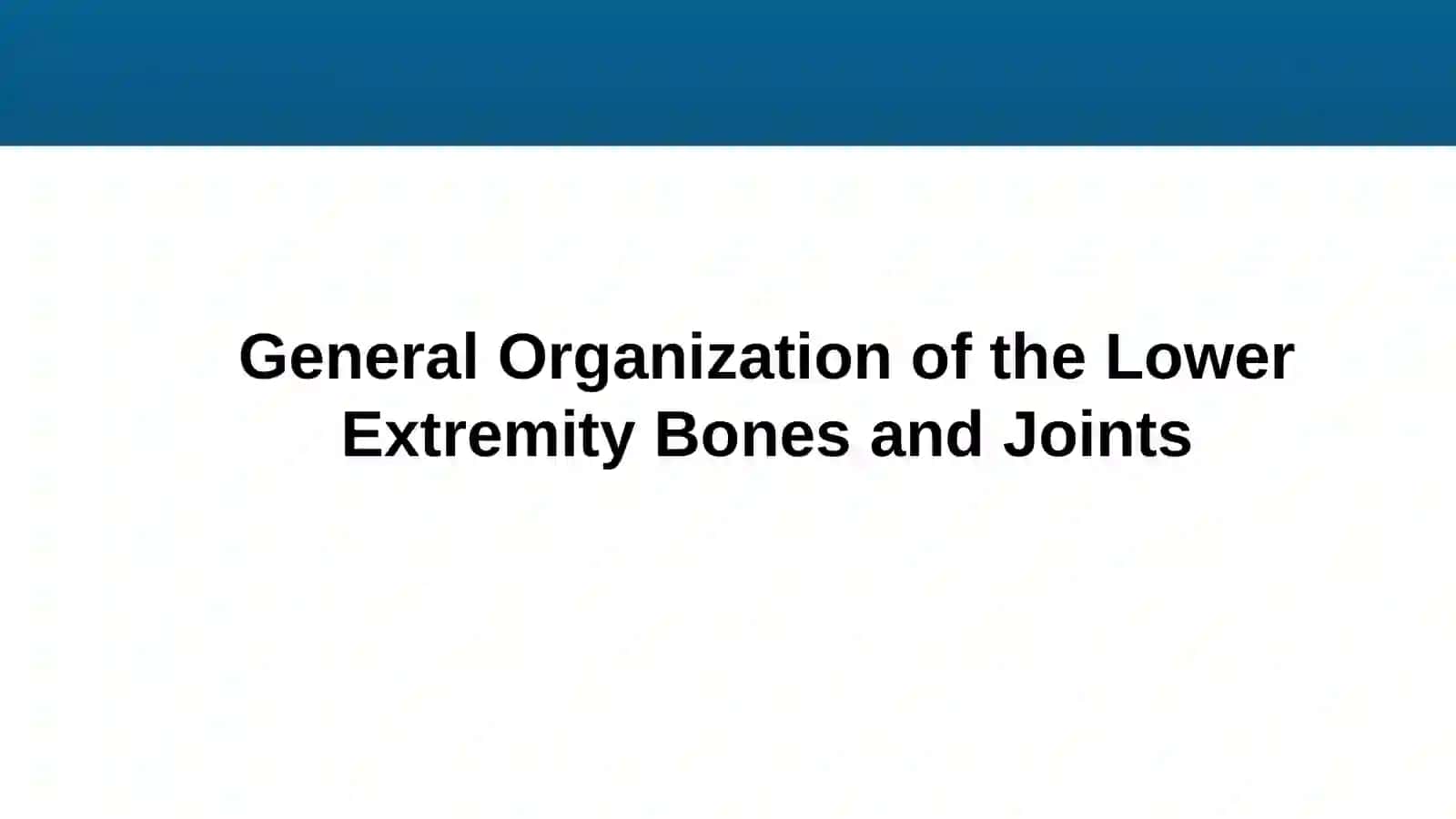 Bones and Joints of the Lower Extremity 4