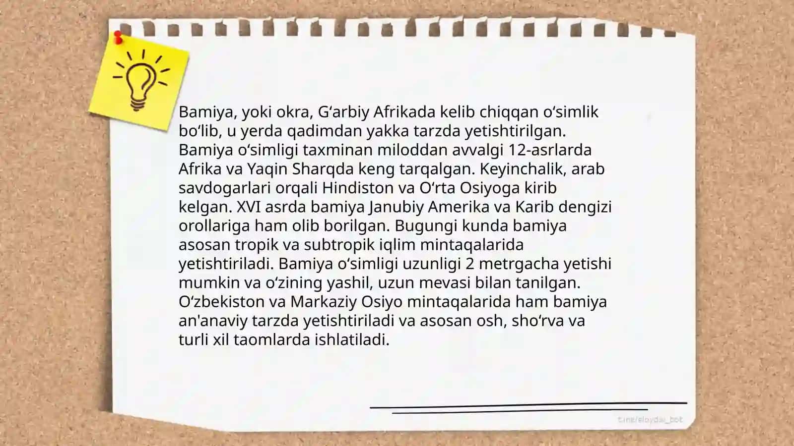 Bamiya òsimligining morfologoyasi va biologiyasi bilan tanishish 4
