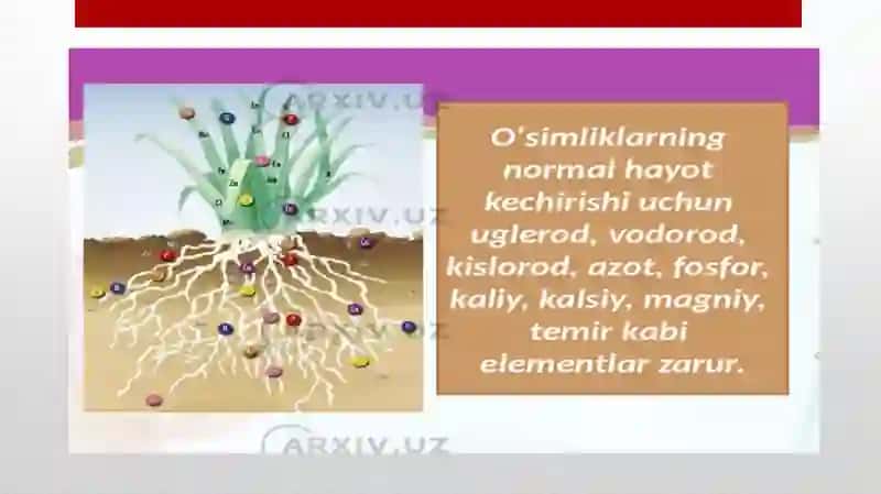 Mineralo’g’itlarning qishloq xo’jaligidagi ahamiyati 4