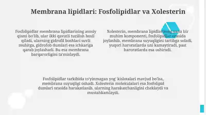 Plazmalemma va biologik mebranalar tuzilishi 4