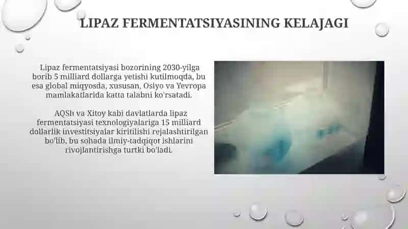 Lipaza ferminti 4