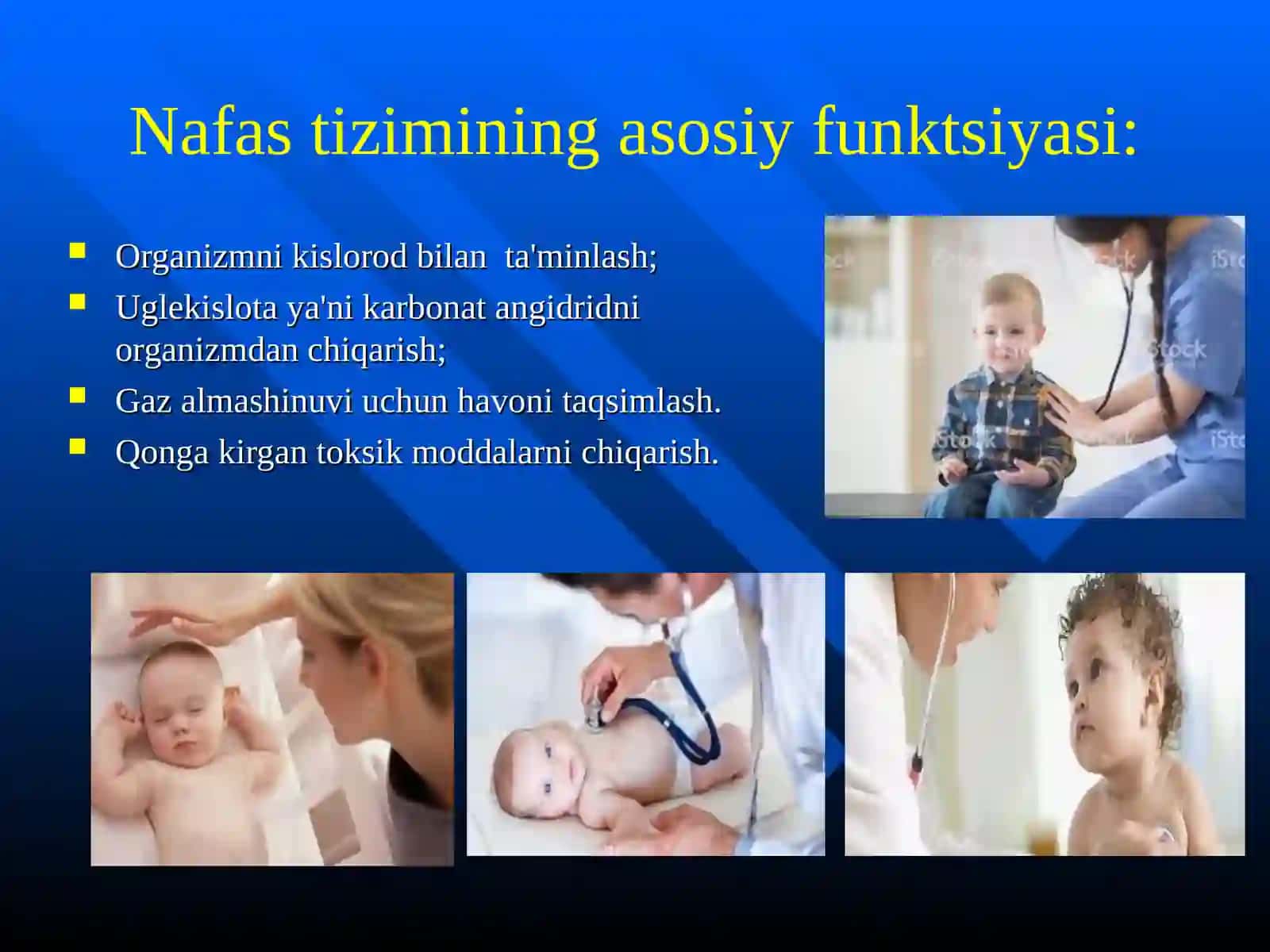 Nаfаsnоlishntizimi аnаtоmо-fiziоlоgik хususiyatlаri 4