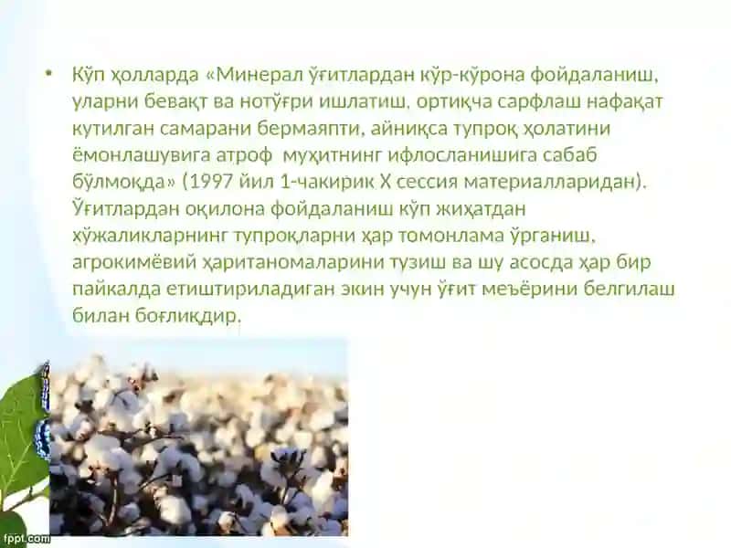 Толали-техник экинларни ўғитлаш 4
