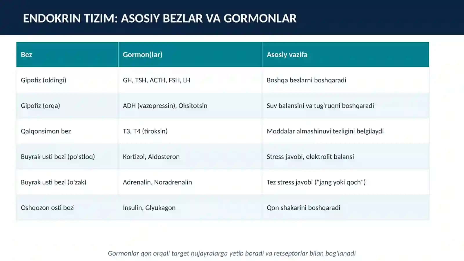 ENDOKRIN VA NERV TIZIMINING ALOQASI 4
