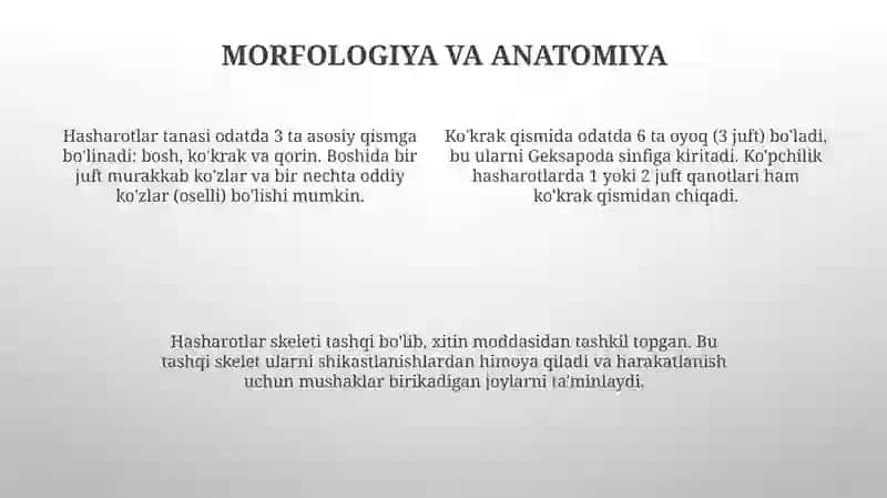Hasharotlarning xilma-xilligi 4