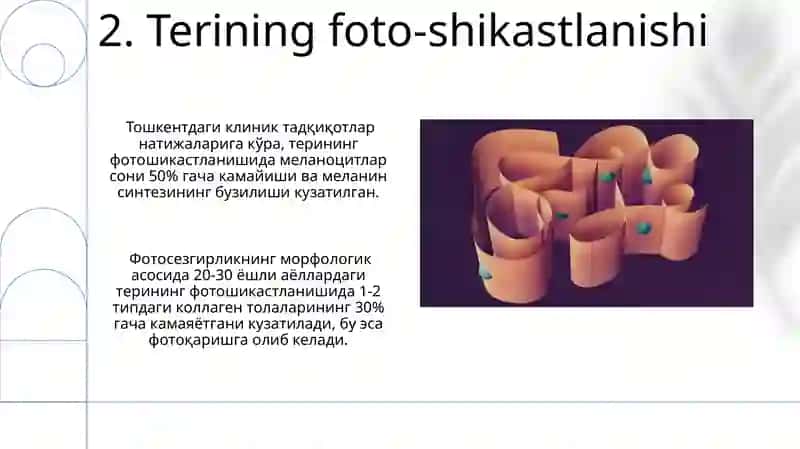 Fotosepsiyaning morfologik asoslari 4