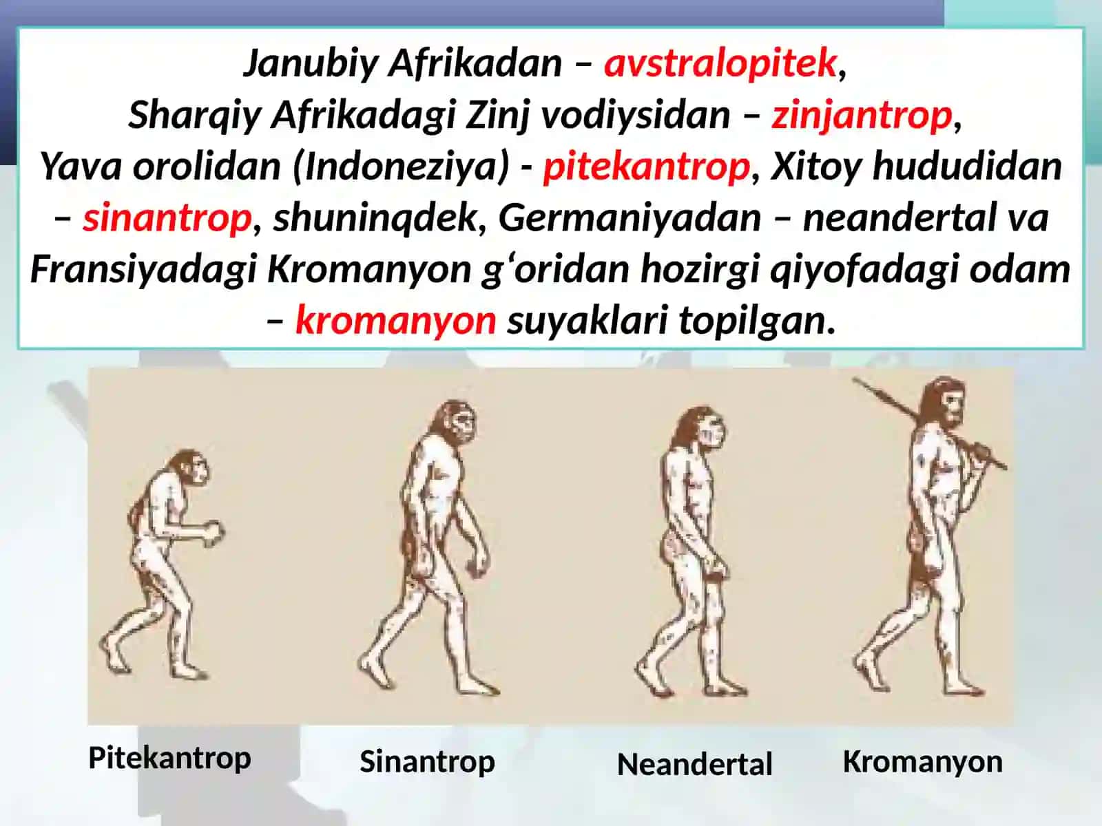 Eng qadimgi odamlar rivojining ilk bosqichlari 4