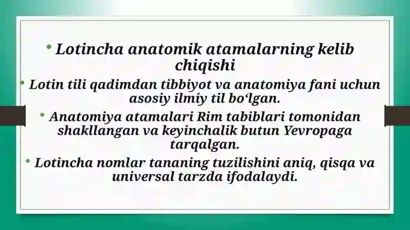 Lotin tilida anatomik atamalarning kelib chiqishi va ma’nosi. Klinik atamashunoslikda yunon tilining o‘rni 4