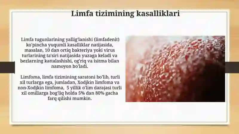 Limfa — Qonning Fiziologik O'rnini Bosuvchi Suyuqlik 4