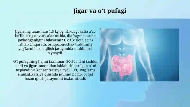 Ovqat hazm qilish tizimi 4