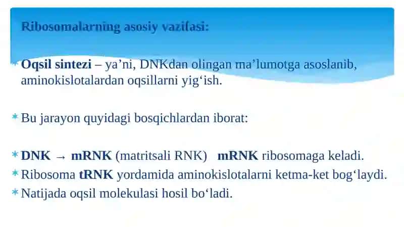 Ribosomalar. Oqsil Biosintezi. 4