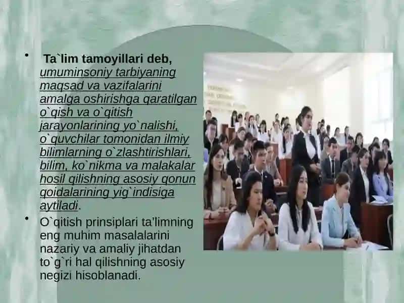 Ta’lim tamoyillari va ularning tasnifi 4