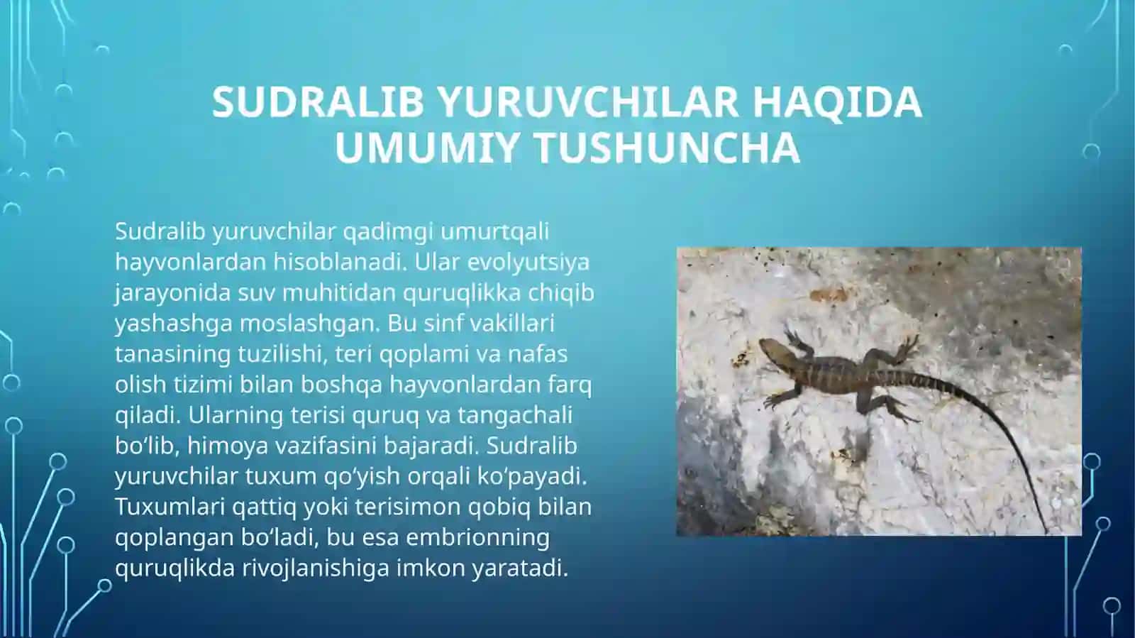 Sudralib yuruvchilar sinfi 4