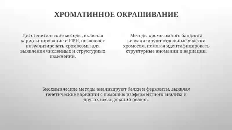 Метод антропогенетики: биохимический и цитогенетический метод 4