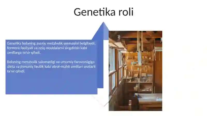 Bolalar organizimda modda va energiya almashinuvi 4
