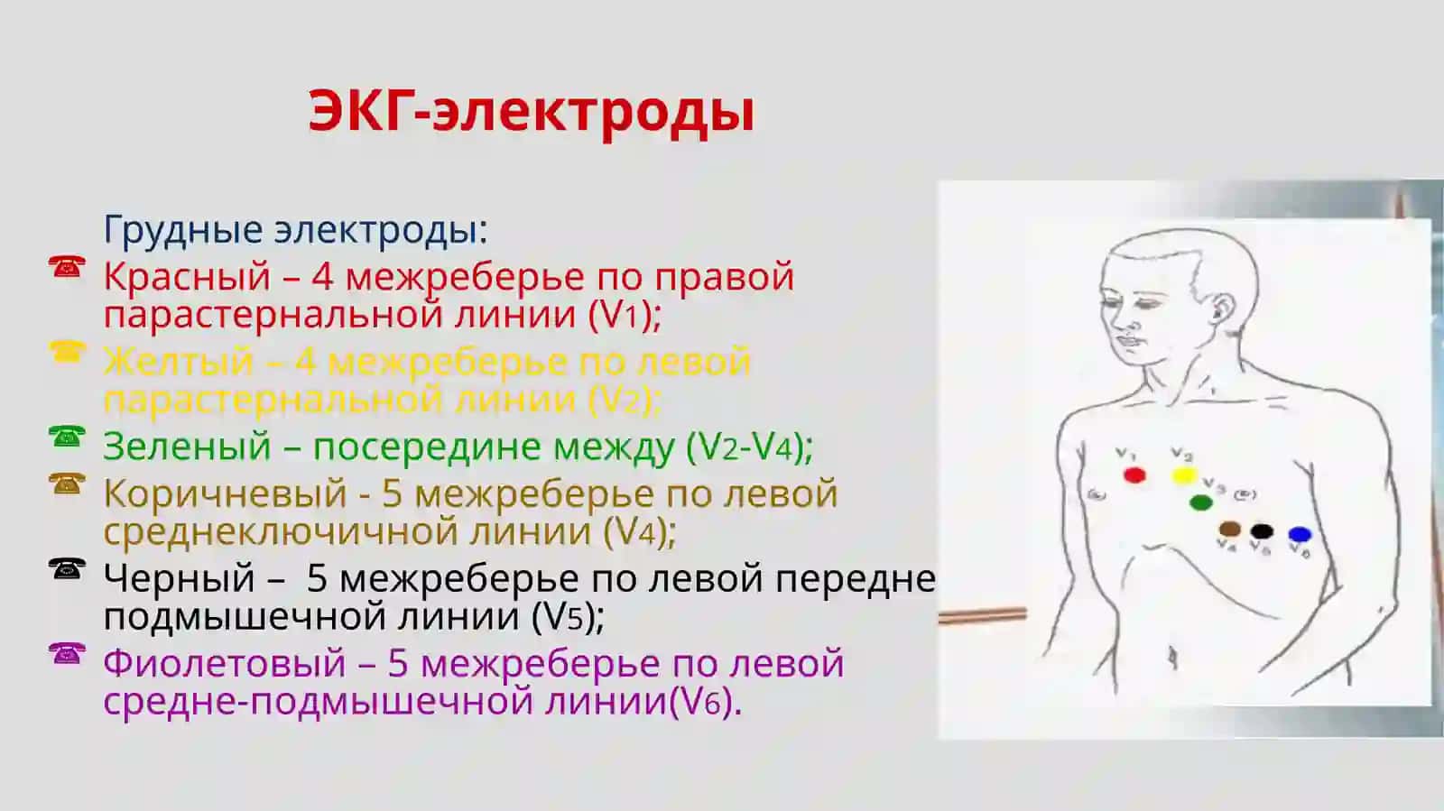 ЭКГ в норме 4