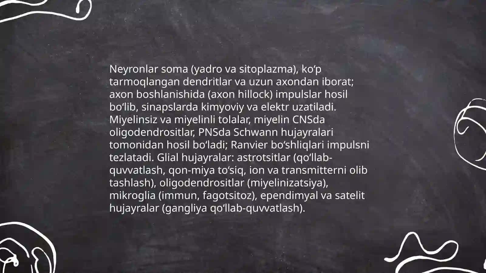 Nerv tizimi. Bosh miya. Miyacha.Vegitativ nerv tizimi 4