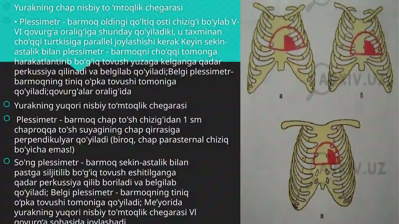 Amaliy ko‘nikmalarni topshirish: yurak perkussiyasi 4