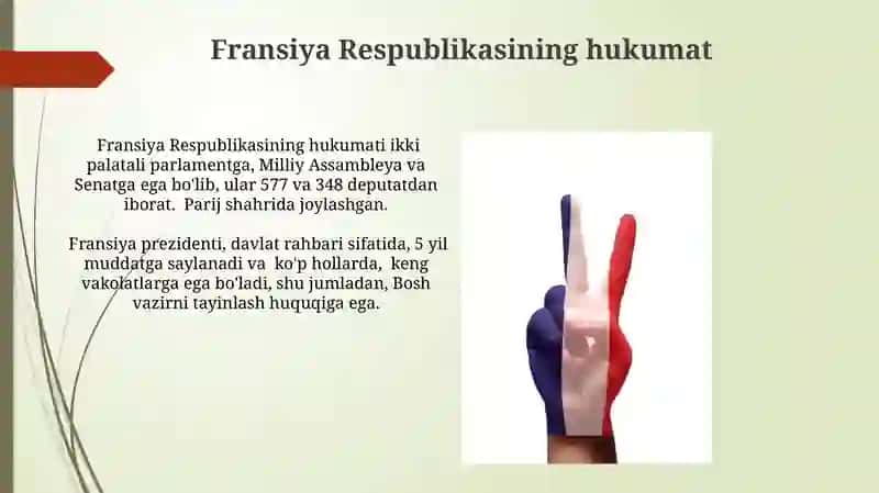 Fransiya Respublikasining Konstitutsiyasi 4