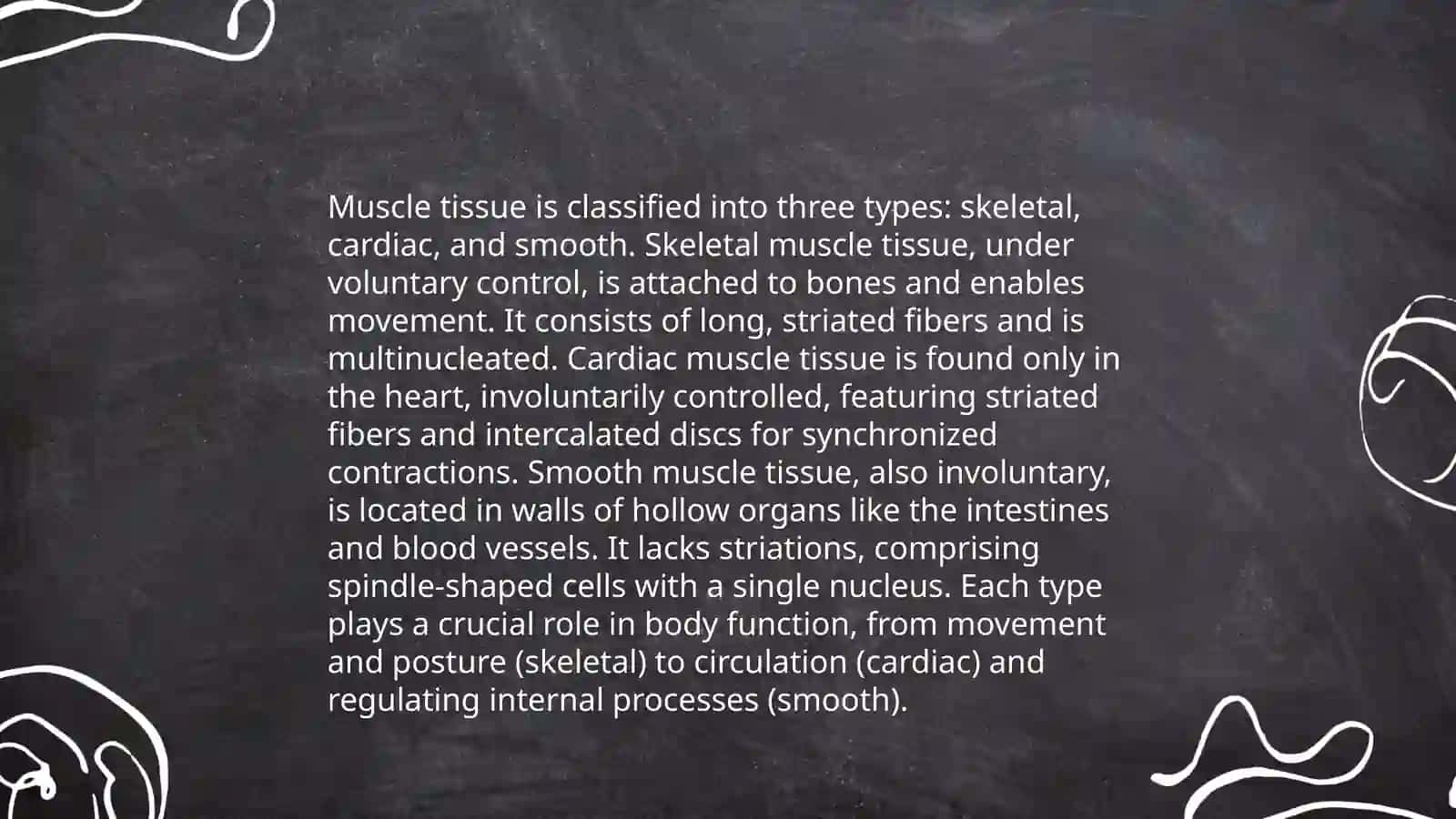 Muscular system 4