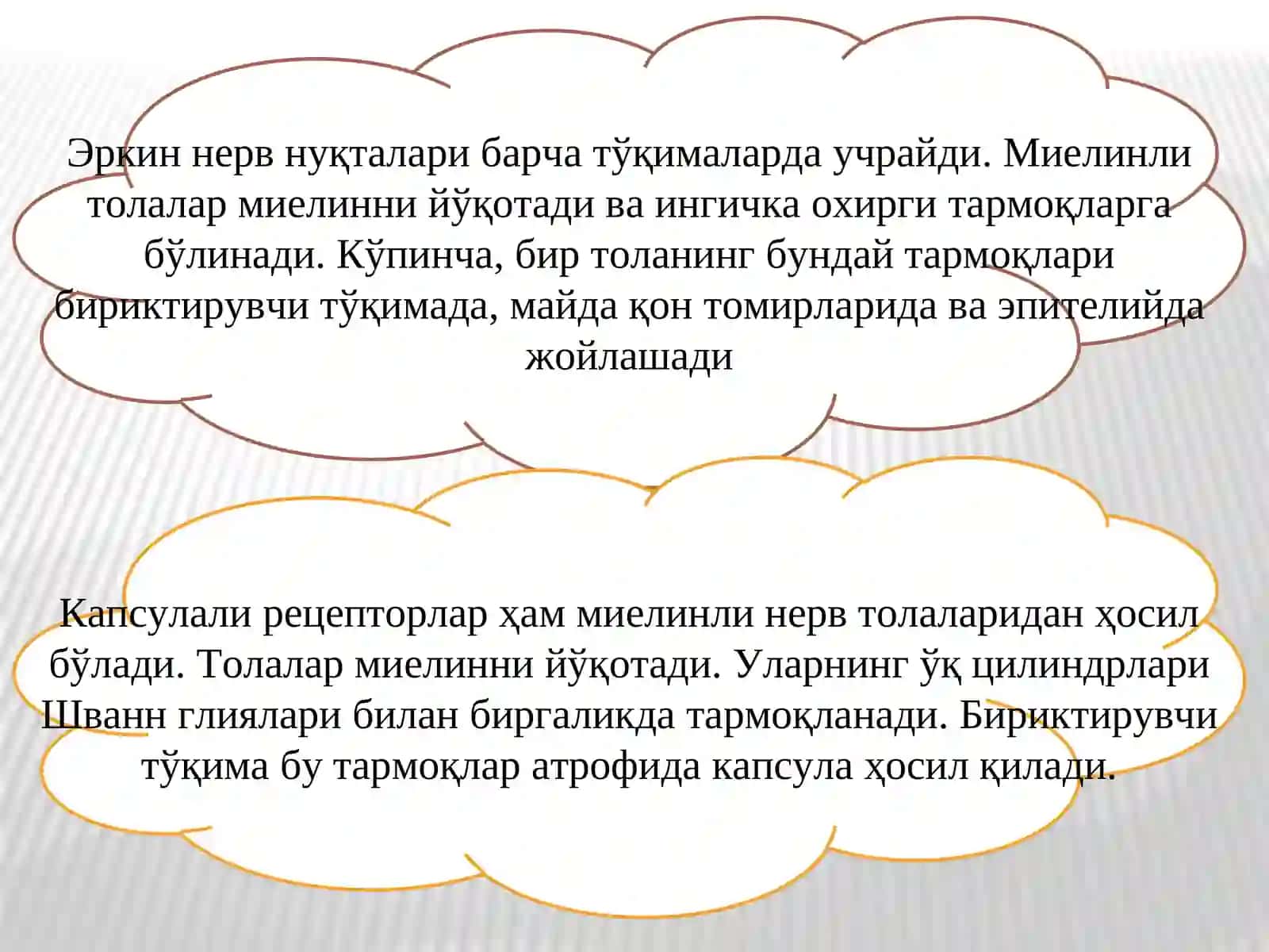 Нерв охирлари ва рефлектор ёй 4