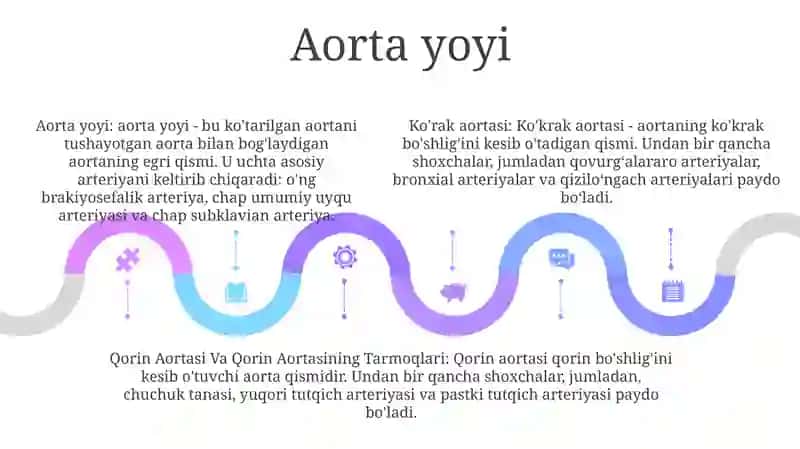 Ko'Krak Aortasi Va Qorin Aortasining Tarmoqlari 4
