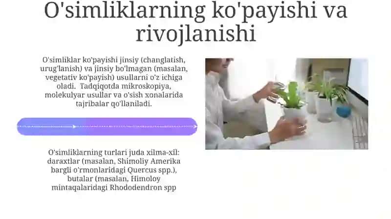 O'simlik Bioteqnologiyasi va Genetik Muhandisligi 4