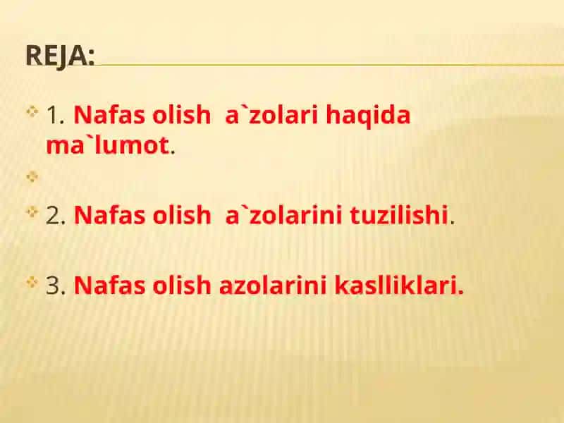 Chekishning nafasa'zolari ga salbiy ta'siri 4