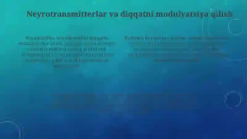 Diqqatning nervfiziologik asoslari 4