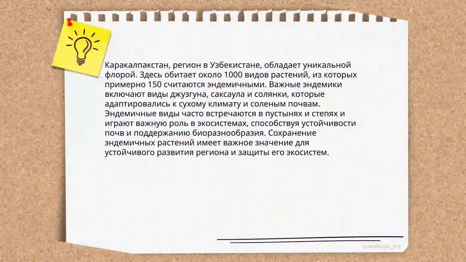 Редкие растения и животные Узбекистана и Каракалпакстана. Международная красная книга 4