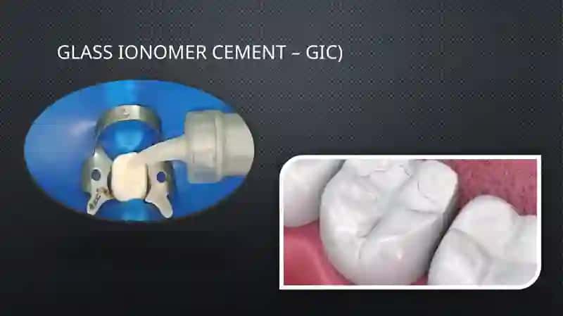 shishaionamer sementlar. xususiyatlari, qo'llanilishi 4