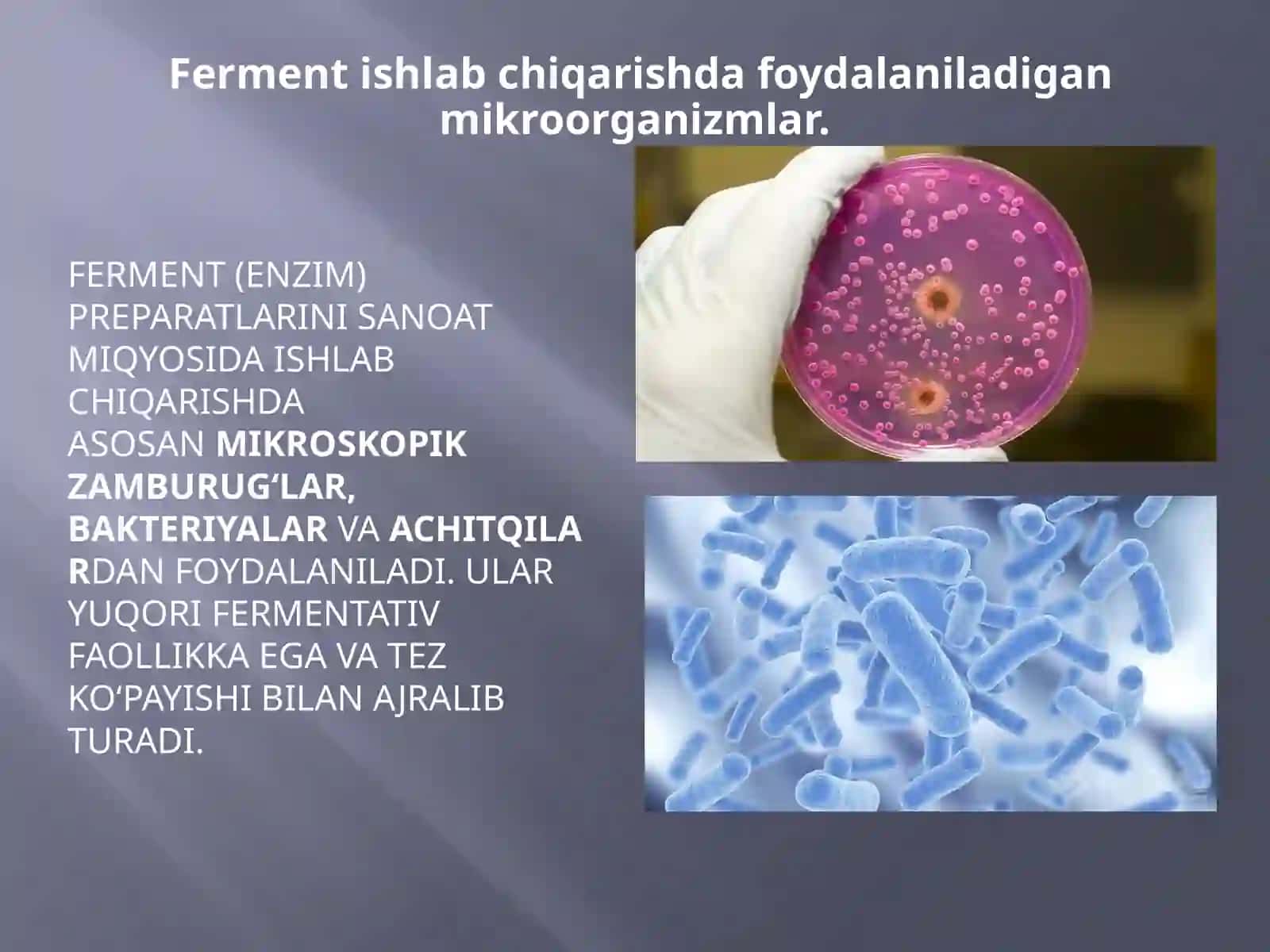 Sanoatasosidafermentpreparatlarniishlabchiqarishtexnologiyasi 4