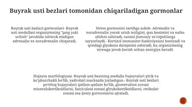 Buyrak Usti Bezlari 4