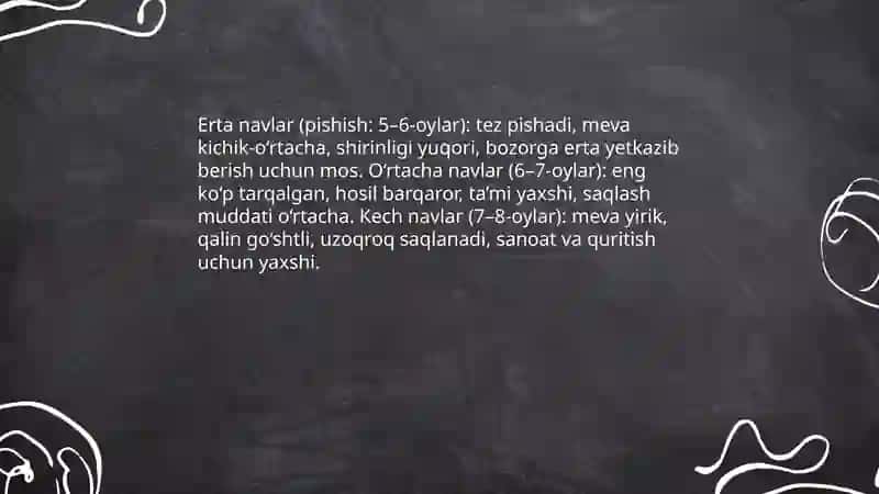Mavsumiylik bo‘yicha o‘rik navlari 3 guruhga bo‘linadi 4